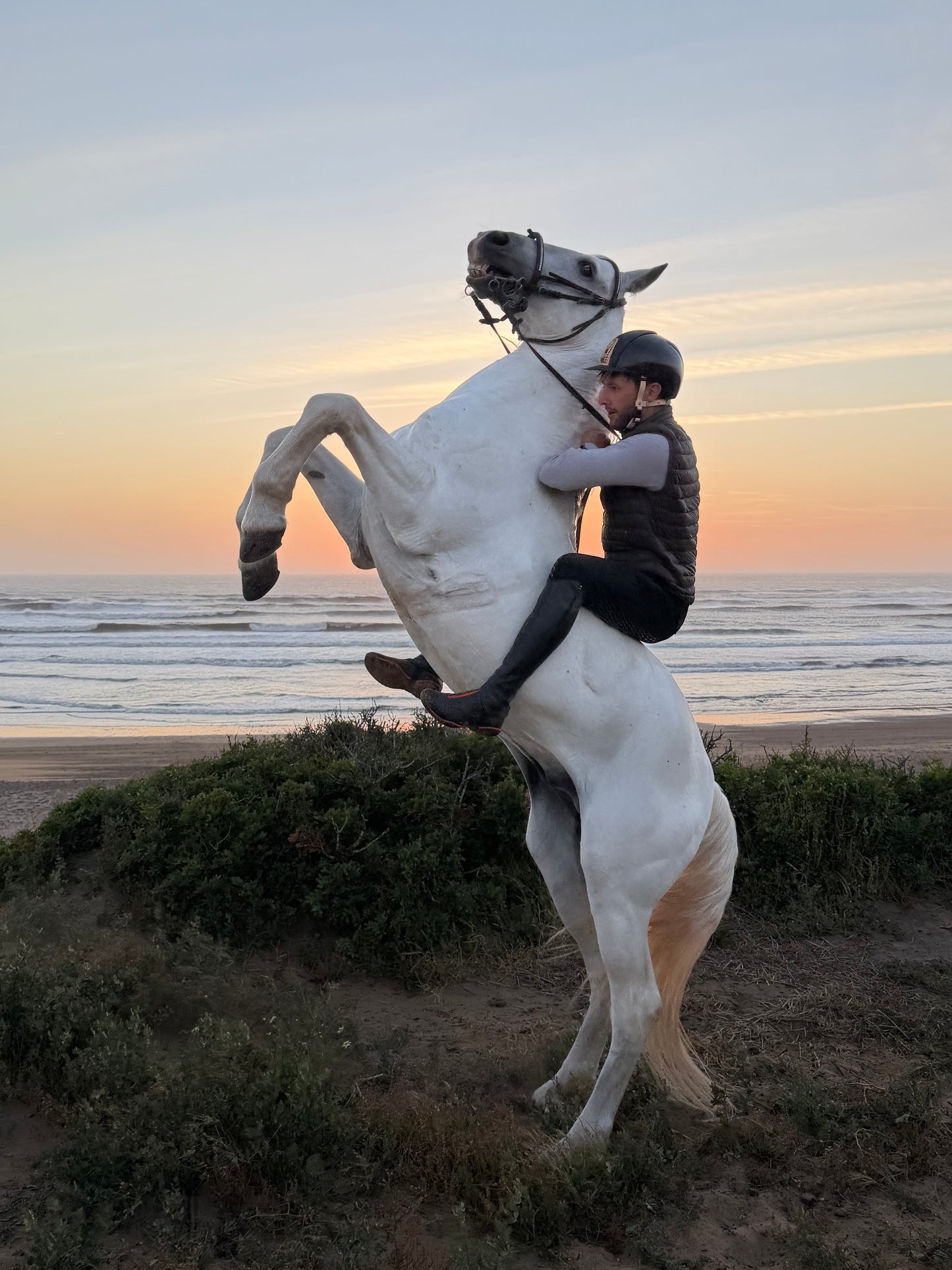 Special Program: Horseback Trekking between Essaouira and the Ocean