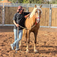 MAROCCO HORSEMANSHIP TRAINING CAMP