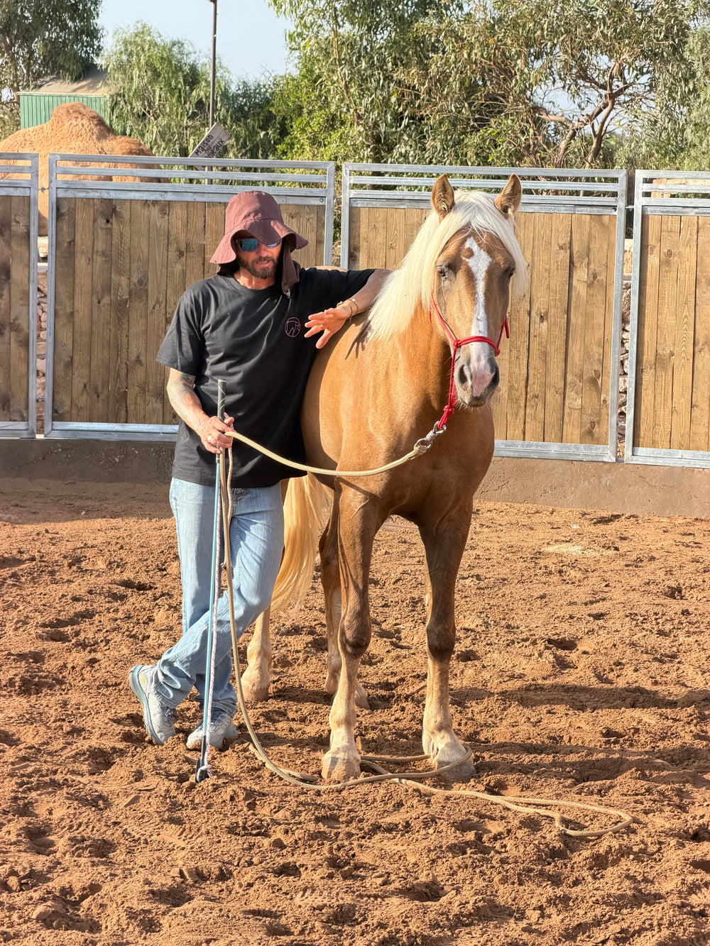 MAROCCO HORSEMANSHIP TRAINING CAMP