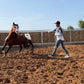 MAROCCO HORSEMANSHIP TRAINING CAMP