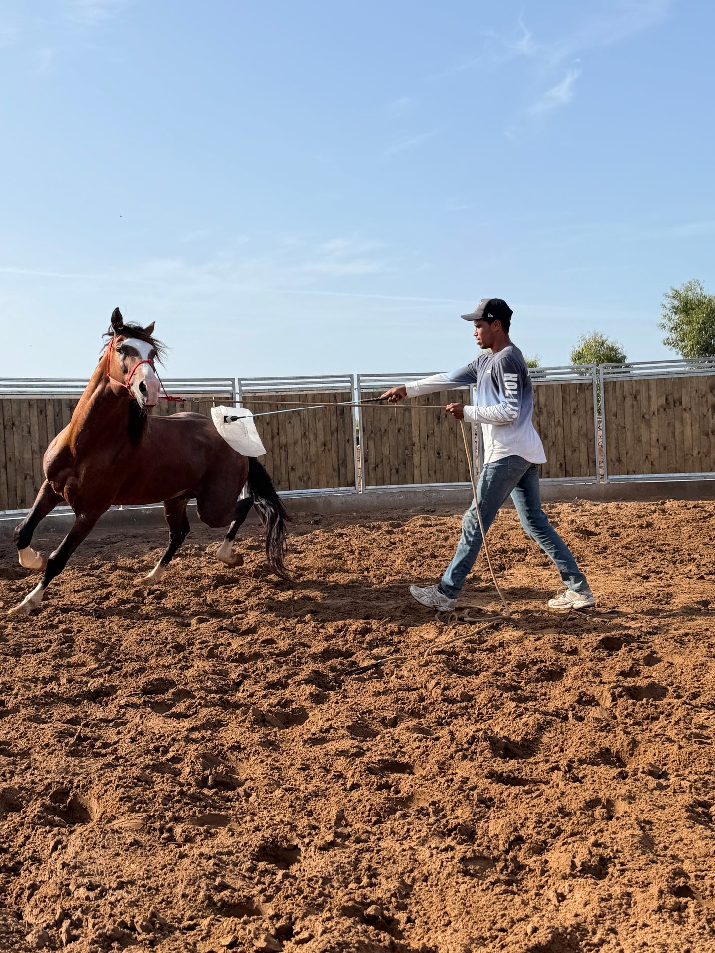 MAROCCO HORSEMANSHIP TRAINING CAMP