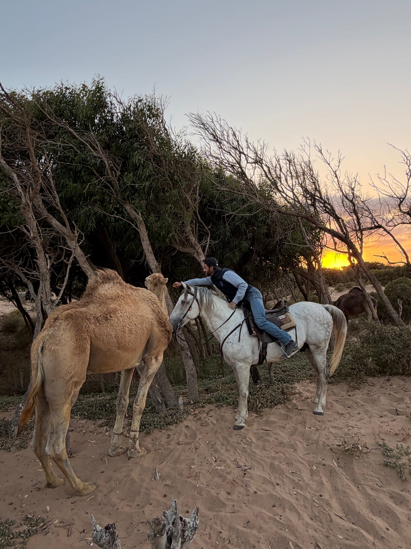 MAROCCO HORSEMANSHIP TRAINING CAMP