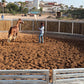 MAROCCO HORSEMANSHIP TRAINING CAMP