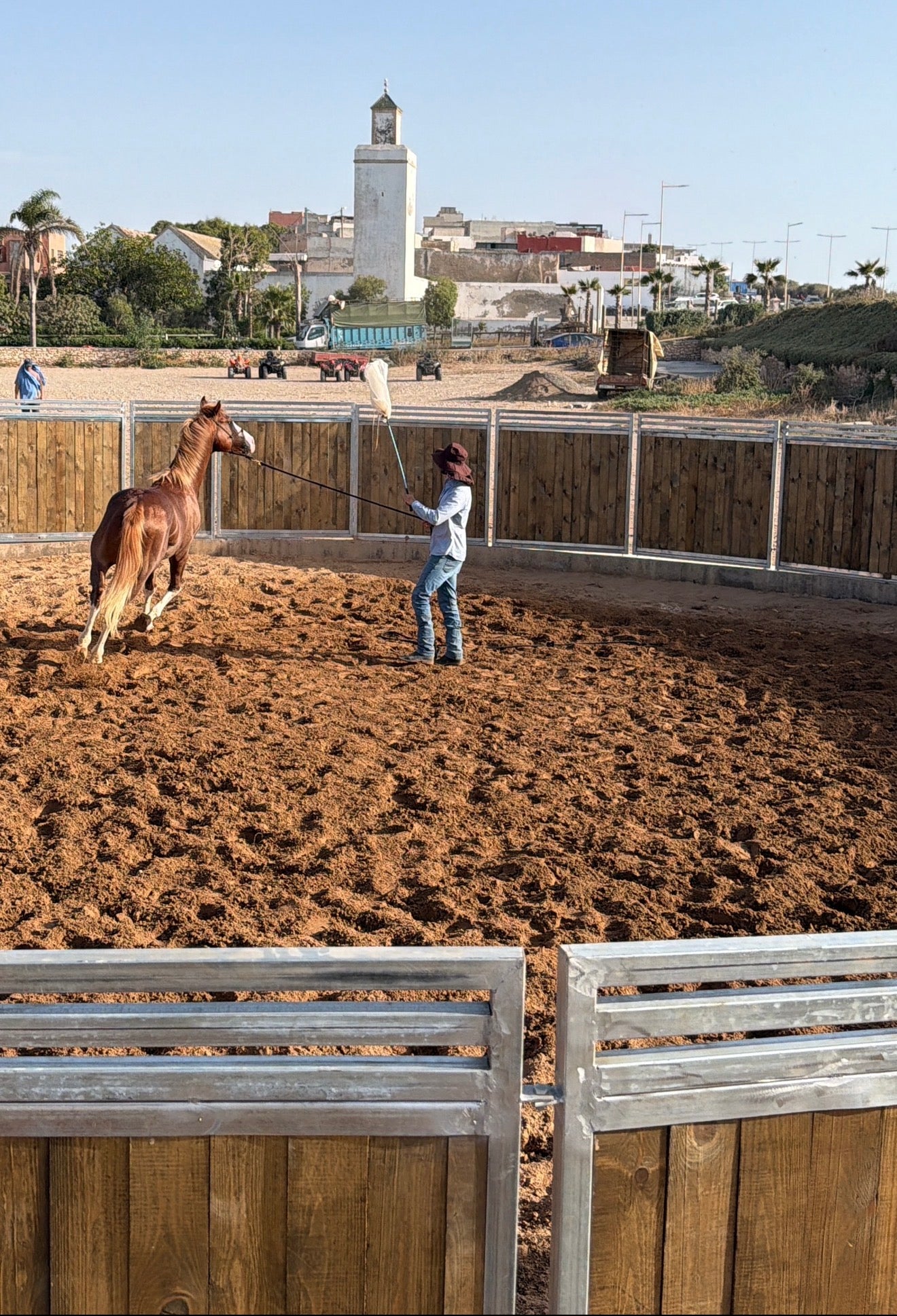 MAROCCO HORSEMANSHIP TRAINING CAMP