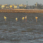 Essaouira Adventure & Relaxation