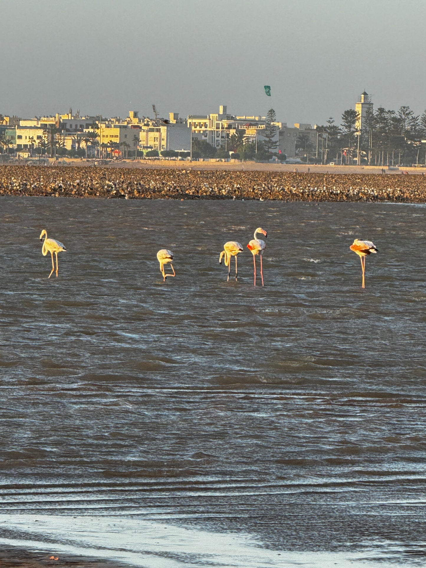 Essaouira Adventure & Relaxation
