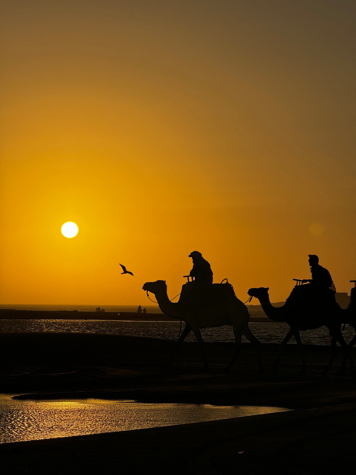 Essaouira Adventure & Relaxation
