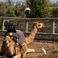 Essaouira Adventure & Relaxation