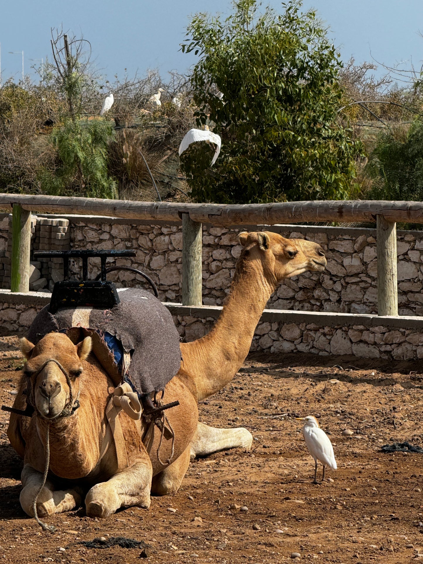 Essaouira Adventure & Relaxation