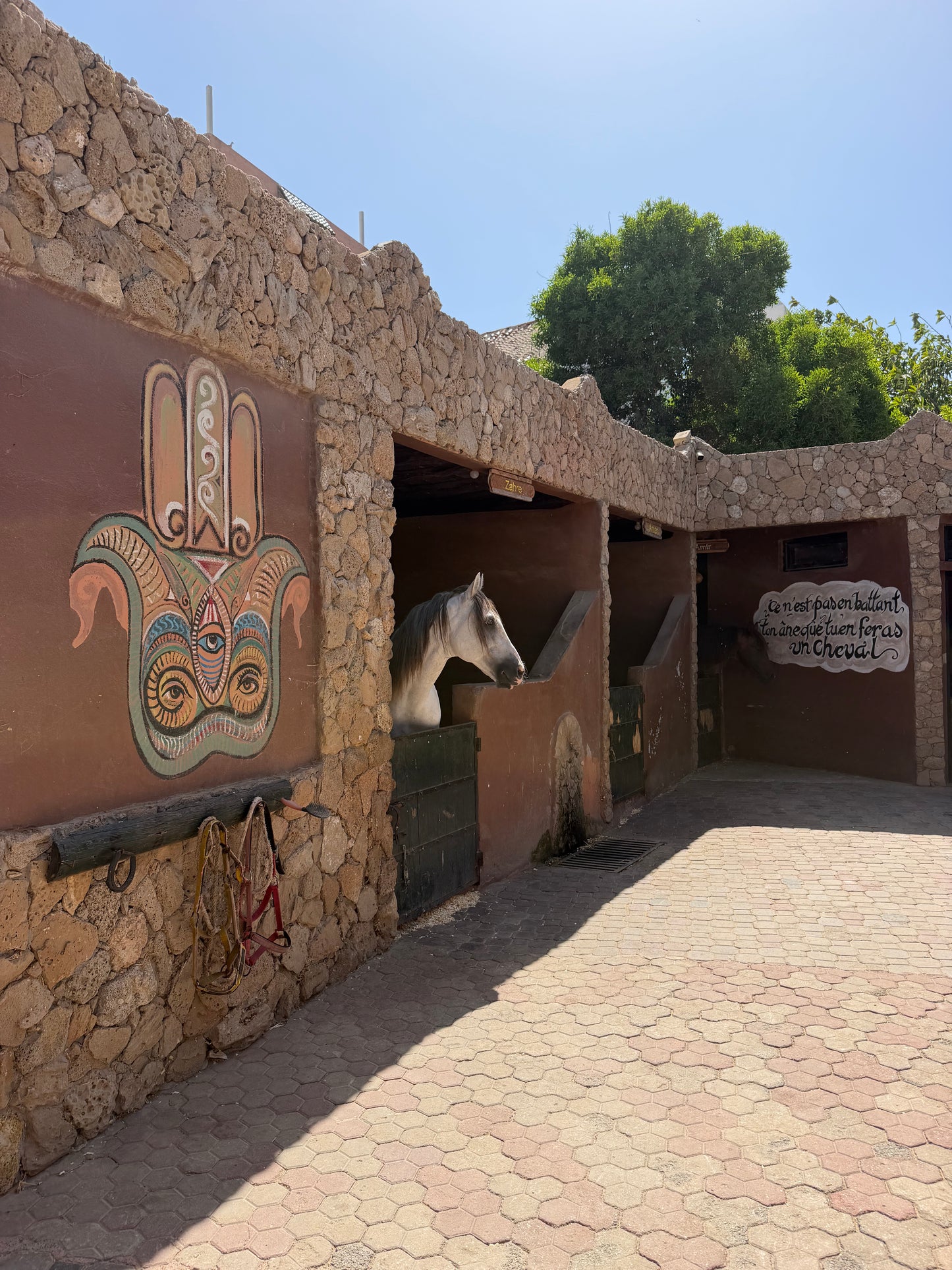 Surfen & Reiten in der Villa