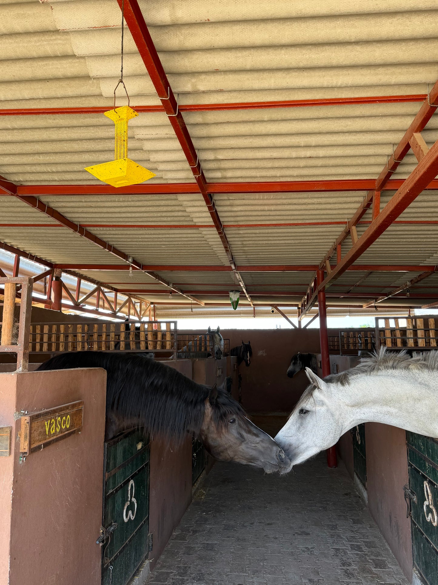 Surfen & Reiten in der Villa