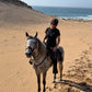 Surfen & Reiten in der Villa