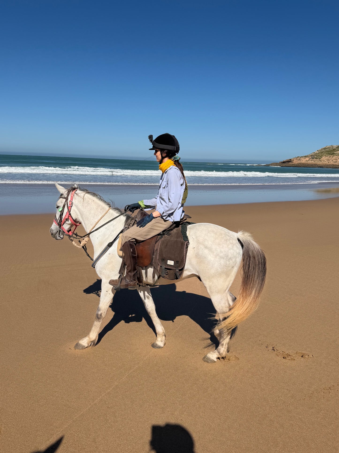 Surfen & Reiten in der Villa