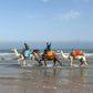 Essaouira Adventure & Relaxation