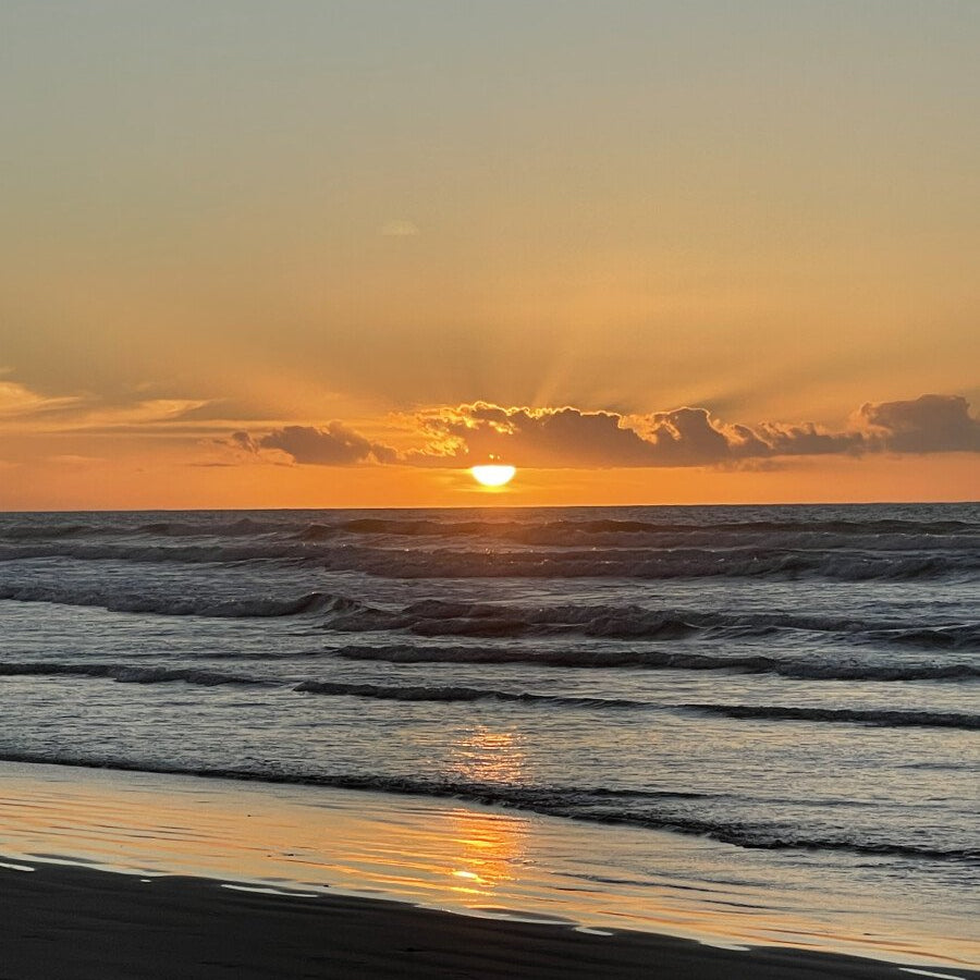 1h Dromadaire au COUCHER DU SOLEIL