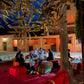 Cena privata di Gruppo con musica Gnawa