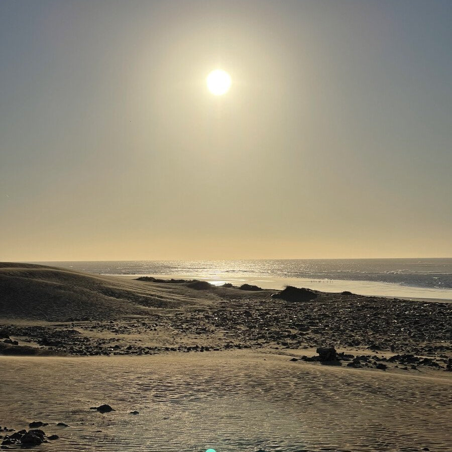 1h Dromadaire au COUCHER DU SOLEIL