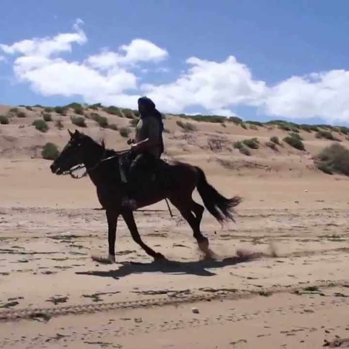 La Perle d'Essaouira