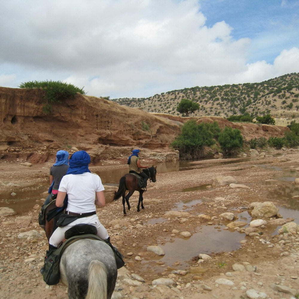 Balade à cheval d'une heure