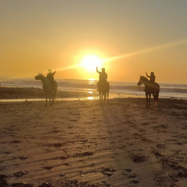 Balade à cheval d'une heure au coucher du soleil en bord de mer