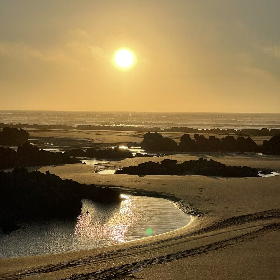 Balade à cheval de 2 heures au coucher du soleil sur la plage