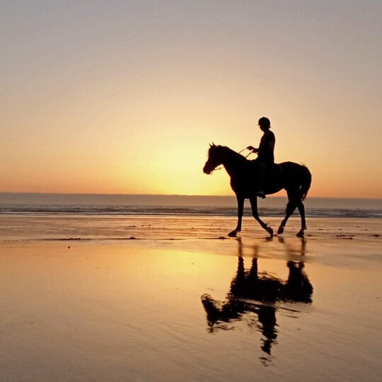 Balade à cheval d'une heure au coucher du soleil en bord de mer