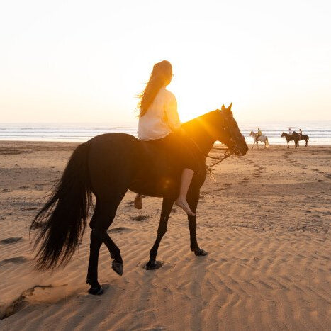 Balade à cheval de trois heures