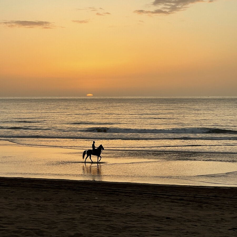 Balade à cheval de 2 heures au coucher du soleil sur la plage