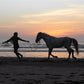 Balade à cheval de trois heures