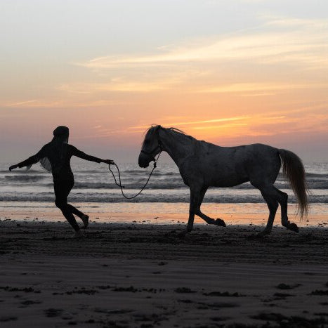 Balade à cheval de trois heures