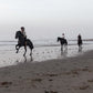 Balade à cheval de trois heures