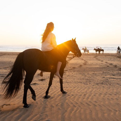 Balade à cheval d'une heure au coucher du soleil en bord de mer