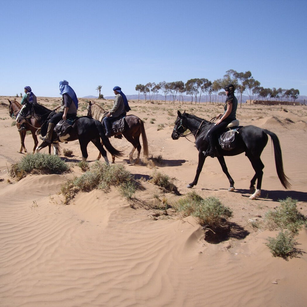Randonnée à cheval avec nuitée