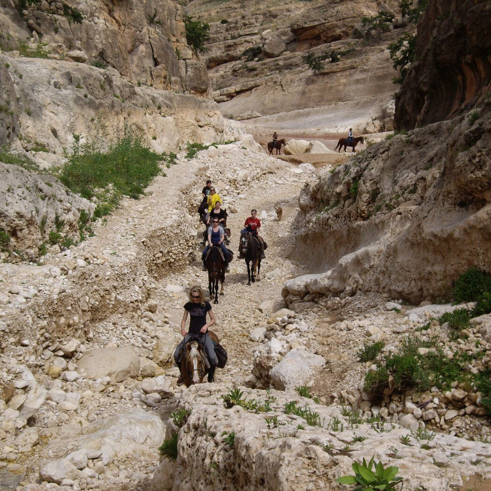 Ausritt mit Mittagessen