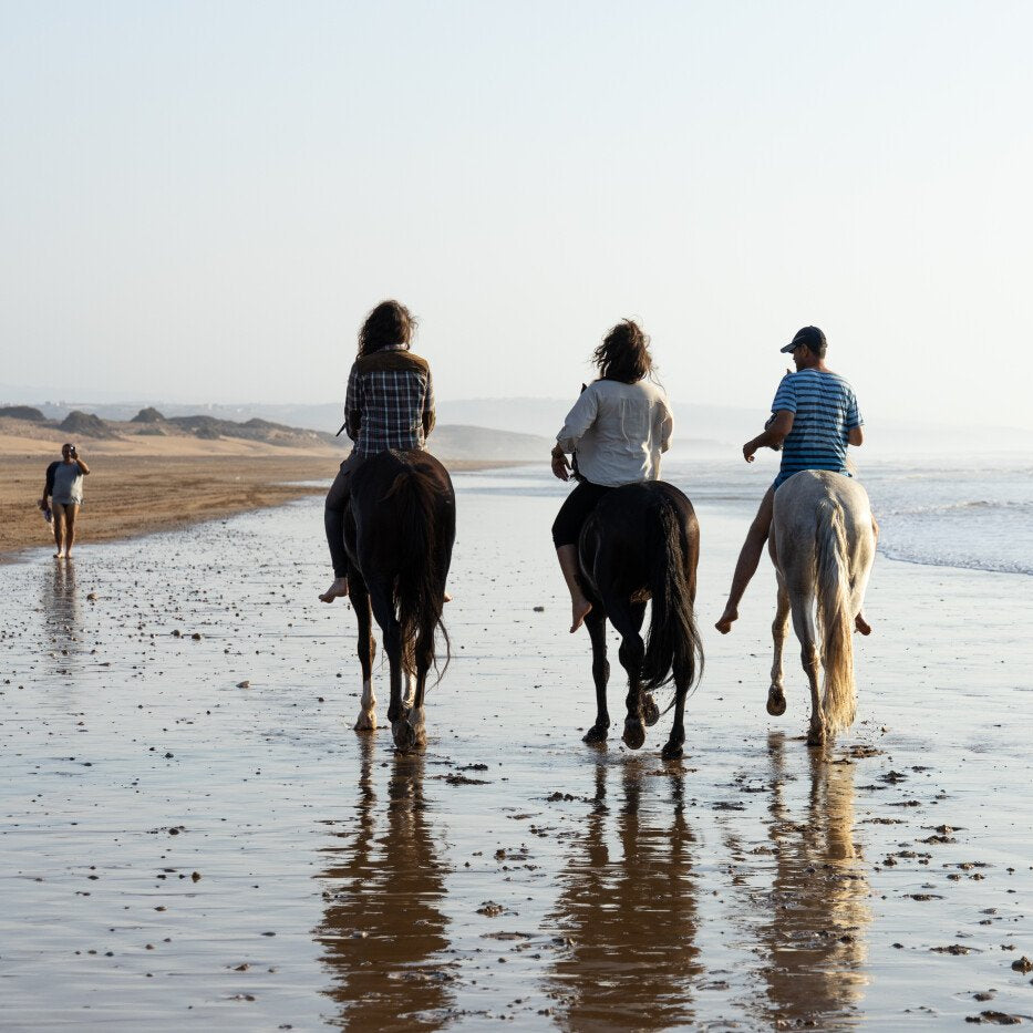 Balade à cheval de deux heures
