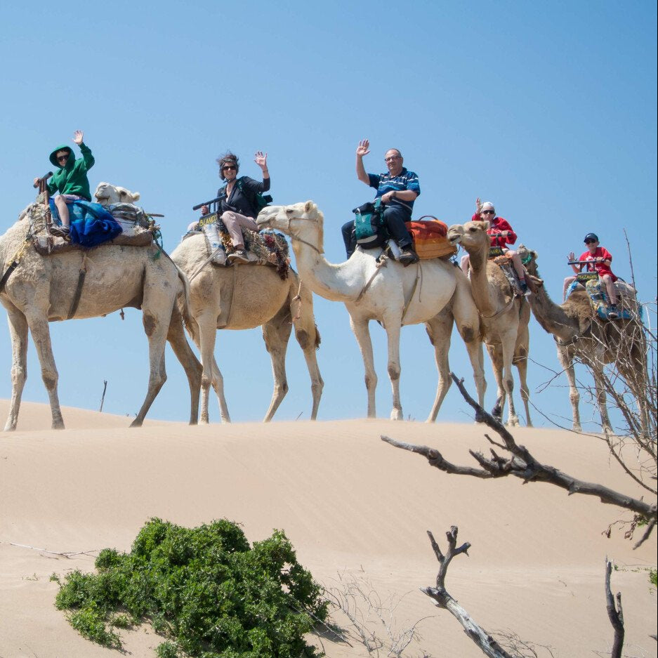 Balade à dos de dromadaire de 3 heures avec thé