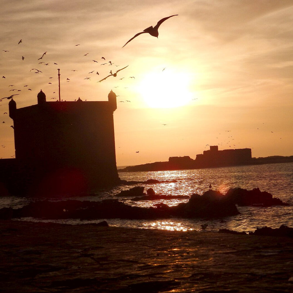 2-stündiger Ausritt bei Sonnenuntergang am Strand