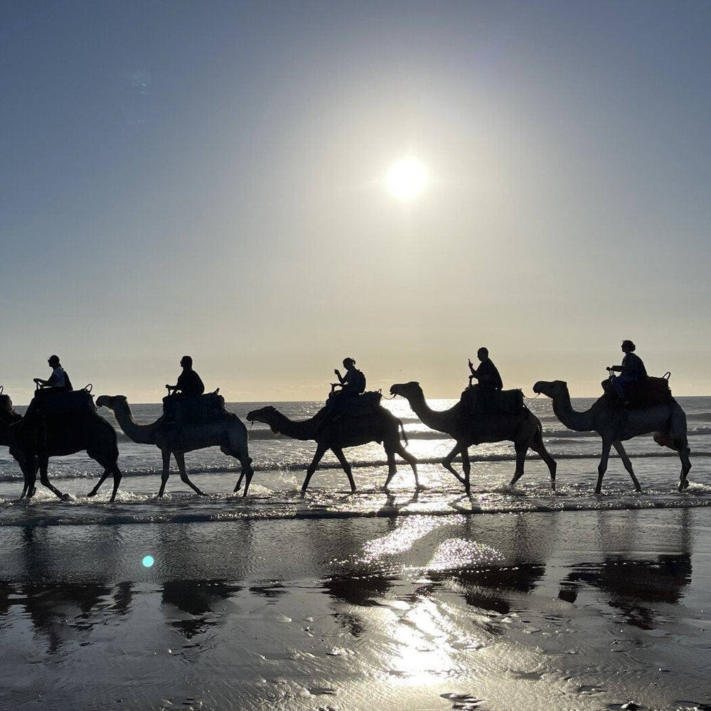 Balade à dos de dromadaire d'une journée avec déjeuner