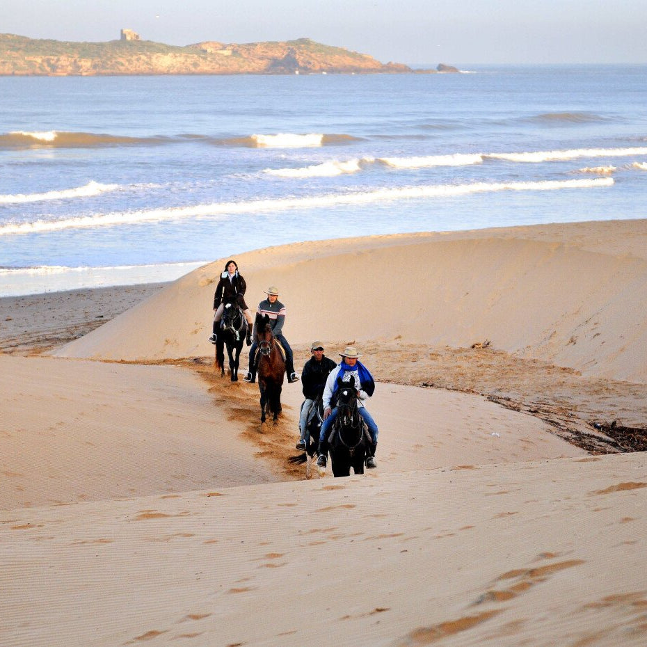 Dreistündiger Ausritt