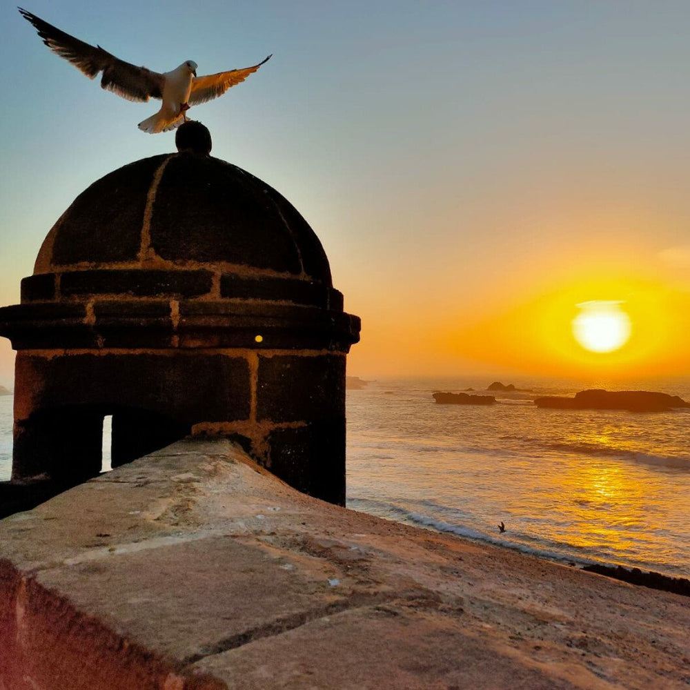 1-stündiger Ausritt bei Sonnenuntergang am MEER