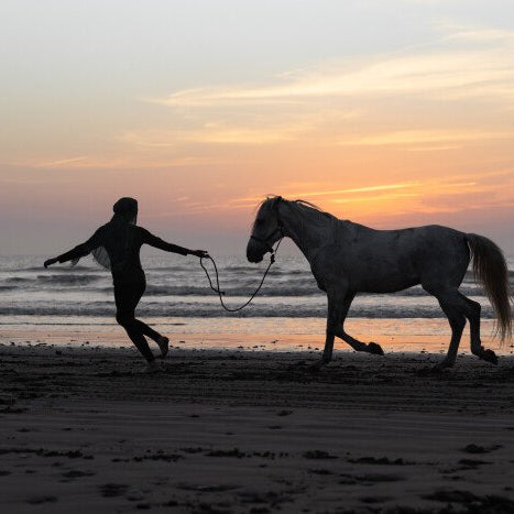 Balade à cheval d'une heure au coucher du soleil en bord de mer