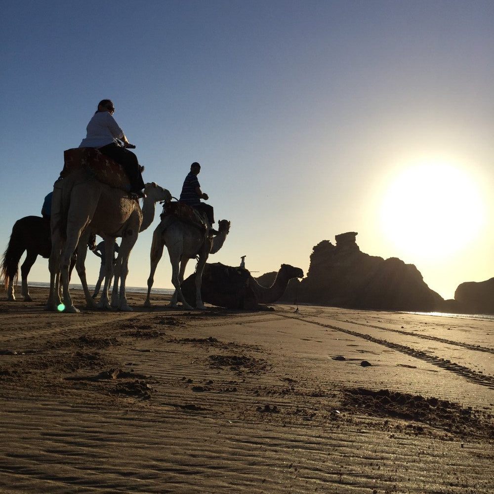 Balade à dos de dromadaire d'une heure
