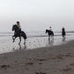 Balade à cheval de deux heures