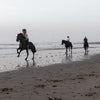 Balade à cheval de deux heures