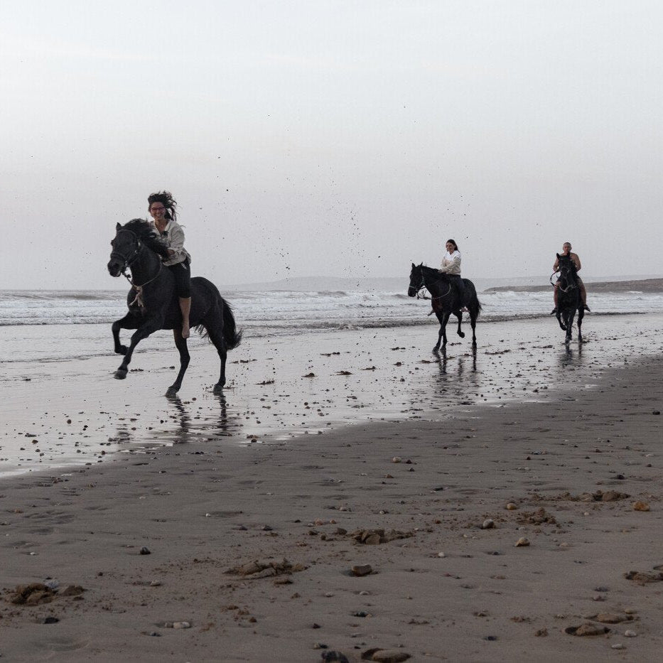 Balade à cheval de deux heures