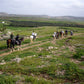 Balade à cheval avec déjeuner