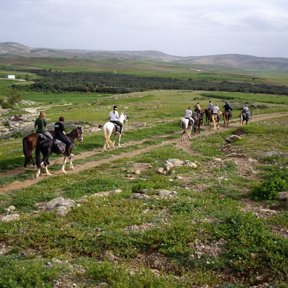 Balade à cheval avec déjeuner