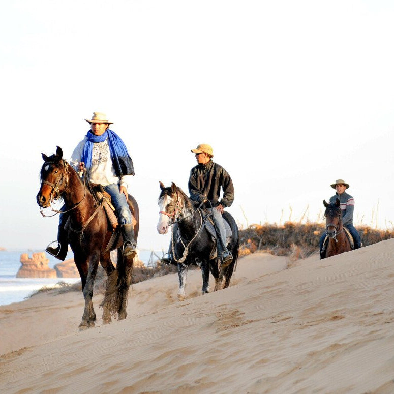 Balade à cheval de trois heures
