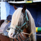 10 leçons d'équitation