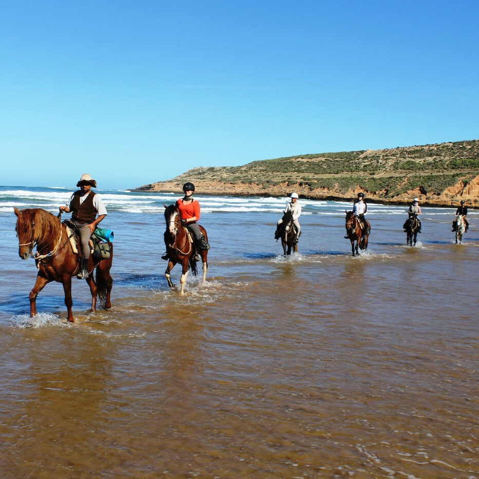 Balade à cheval d'une heure